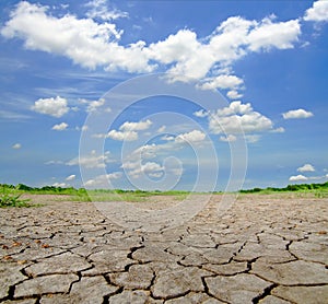 Dried and cracked soil