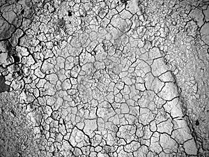 Dried cracked soil background top view