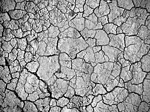Dried cracked soil background top view