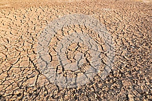 Dried, cracked soil