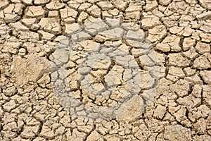 Dried and Cracking Mud Flat in a Dry Riverbed