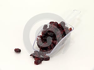 Dried cranberry