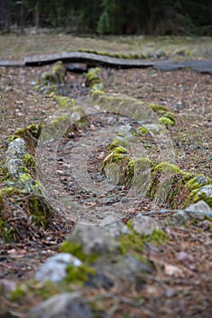 Dried creek in the forest with a bridge