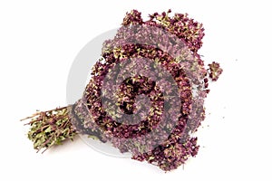 Dried Creeping Thyme