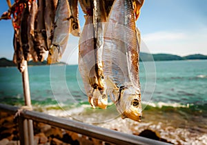 Dried Cured Fish at Fishing Village in Peng Chau Island in Hong Kong