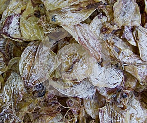 Dried cuttlefish