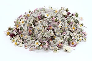 Dried daisy flowers,lat. Bellis perennis, also bruisewort