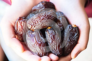 Dried date fruits in a hand. Close up