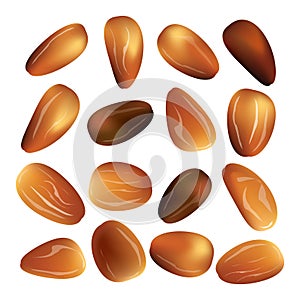 Dried date palm fruits or kurma, ramadan food.Illustration of Eid Mubarak