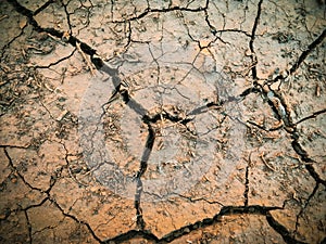 dried dehydrated cracked soil top view
