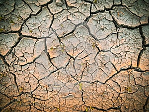 dried dehydrated cracked soil top view