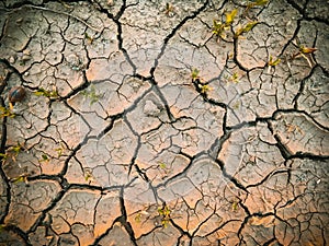 dried dehydrated cracked soil top view