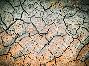 dried dehydrated cracked soil top view