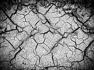 dried dehydrated cracked soil top view