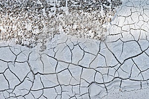Dried desiccation cracks forming in fresh cement. photo