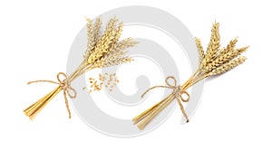 Dried ears of wheat on white background, top view. Banner design
