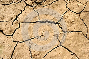 Dried earth