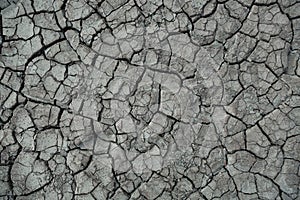 Dried earth as a result of climate change, global warming consequences.
