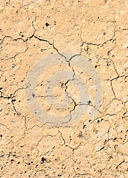 Dried earth background