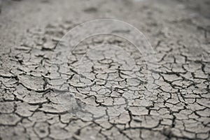 Dried Earth Macro