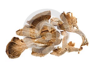 Dried Edible Mushrooms