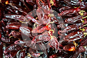 Dried Espelette peppers photo