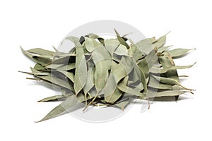 Dried eucalyptus leaves
