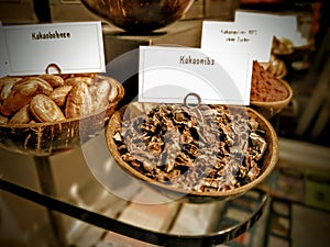 Dried exotic chocolate on display in a shop window