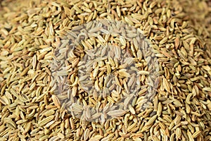 Dried fennel Seeds as an abstract background texture