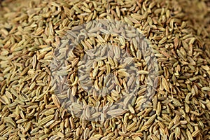 Dried fennel Seeds as an abstract background texture