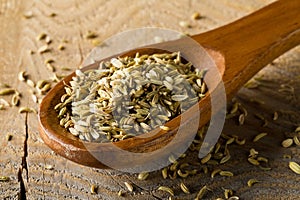 Dried fennel seeds in wooden spoon on brown wood board background