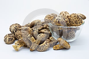 Dried field mushrooms