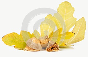 Dried fig fruit