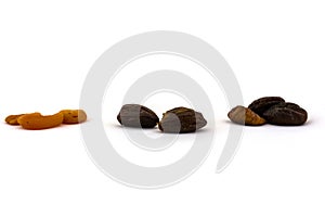 Dried figs and apricots