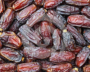 Dried finik ï¼ŒDried jujube