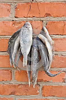 Dried fish