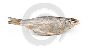 Dry fish isolated on white background.