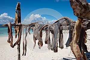 Dried Fish