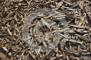 Dried fish