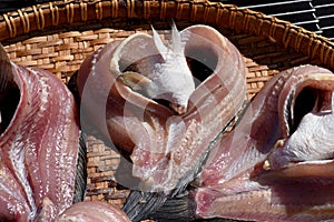 Dried fish.