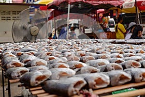 Dried fish