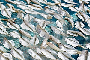 Dried fish