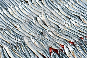 The dried fish is arranged in a beautiful and orderly arrangement. Can be used as raw materials to cook as many