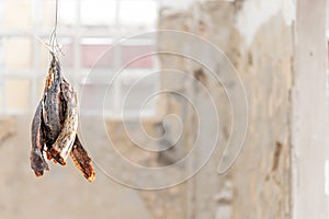 Dried fish, as food preservation To be stored for a long time