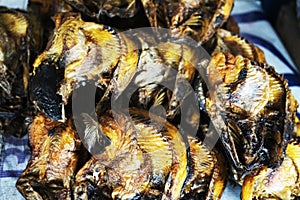 Dried fish is an Asian food preservation method