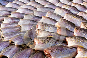 Dried fish on the bamboo grid in the sunny day