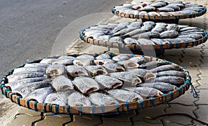 Dried fish on the bamboo grid in the sunny day