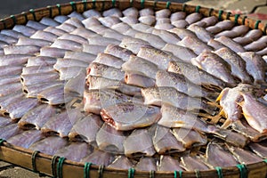 Dried fish on the bamboo grid in the sunny day