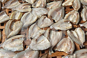 Dried fish on Bamboo sieve with sunny