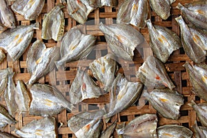 Dried fish on Bamboo sieve with sunny